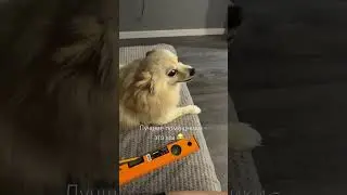Зрители🤣 