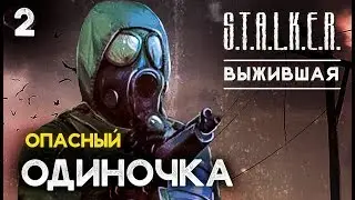 S.T.A.L.K.E.R. Выживший. Побег из Зоны 02 : НОЧНАЯ ВЫЛАЗКА, ОПАСНЫЙ ОДИНОЧКА, АТАКА УБЕЖИЩА