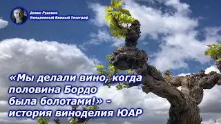 «Мы делали вино, когда половина Бордо была болотами!» - история виноделия ЮАР