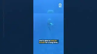 Brave man to dive so deep 👏👏