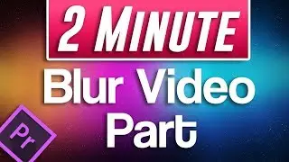 Premiere Pro : How to Blur Part of Video