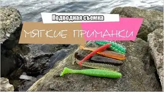 🎥 Мягкие приманки под водой! Съедобная резина!