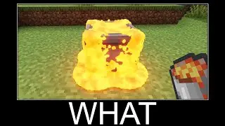 Minecraft realistic wait what meme, Lava, Water, Slime #1003