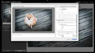 Lightroom 5 - Cómo agregar tu logo? (Tutorial)