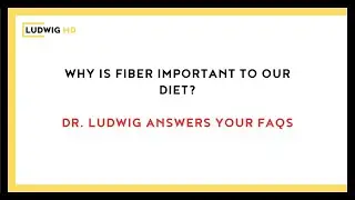 Why Is Fiber Important To Our Diet