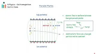 Electric Fields [IB Physics SL/HL]