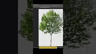 Create custom brushes in Photoshop | Architecture shorts #shorts