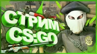 СТРИМ КСГО | ОЦЕНКА КАНАЛОВ  | ПИАР | ВЗАИМКИ | COUNTER STRIKE | FACEIT