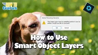 Photoshop Elements Tutorials for Beginners How to Use Smart Object Layers