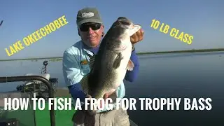 How to fish a frog for trophy Bass