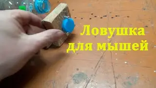 Ловушка для мышей - мышеловка.