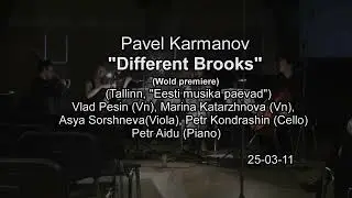 Pavel Karmanov - Different Brooks in Tallinn