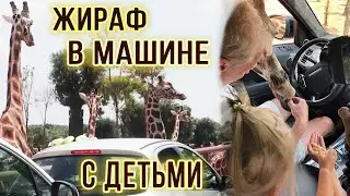 Зоопарк для детей в Италии | Зоосафари | КОНКУРС
