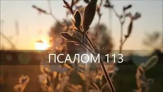 ПСАЛОМ 113. Когда вышел Израиль из Египта.