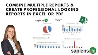 How to Combine Multiple Reports & Create Professional Looking Reports in Excel or PDF