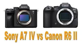 Is The Canon R6 II a Sony A7 IV Killer? Live Discussion & Q&A