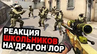 РЕАКЦИЯ ШКОЛЬНИКОВ на СУВЕНИРНЫЙ AWP DRAGON LORE в CS:GO | ТРОЛЛИНГ ШКОЛЬНИКОВ В КС ГО