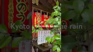 Kyoto during the rain #shorts #kyoto #japan #rain