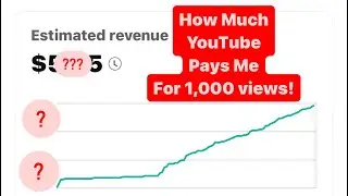 HOW MUCH MONEY YOUTUBE PAID ME FOR 1,000 VIEWS!!!!