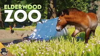 A Forest Meadow For Przewalskis Horse In Planet Zoo | Elderwood Zoo