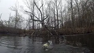 WINTER LARGEMOUTH BASS - COLDWATER WORM FISHING DEEP TIMBER & TREES