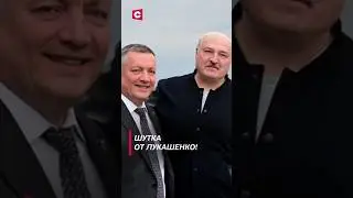 Лукашенко: Найдёшь же небольшую копейку? #shorts #лукашенко #путин #новости #политика #россия