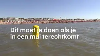 Dit moet je doen als je in een mui terechtkomt - RTL NIEUWS