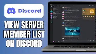 How To View Server Member List On Discord