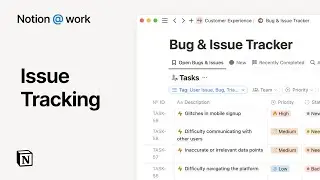 Notion at work: Issue tracking