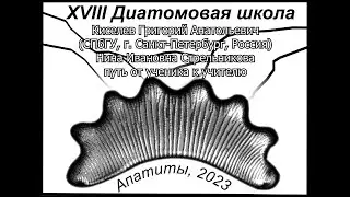 Морфология, филогения и проблемы систематики таксонов навикулоидных и ахнантоидных водорослей