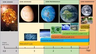 LA COMPARSA DELLA VITA SULLA TERRA