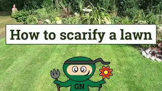 How to scarify a lawn