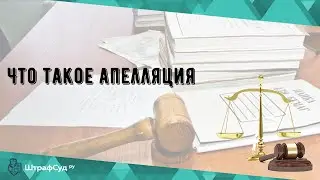 Что такое апелляция