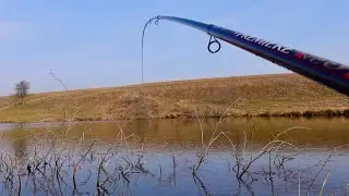 Ух і нажимає! Неочікуваний кабан із корчів! Рибалка на саму уловисту снасть!