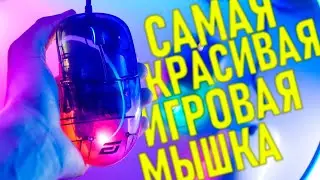 Endgame Gear XM1r или XM1 RGB, ЧТО КУПИТЬ!?