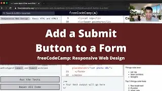 Add a Submit Button to a Form (Basic HTML and HTML5) freeCodeCamp