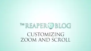 Customizing Zoom and Scroll in REAPER