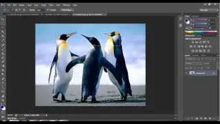 Adobe photoshop how to work with selection tool marquee tools lasso tools demo