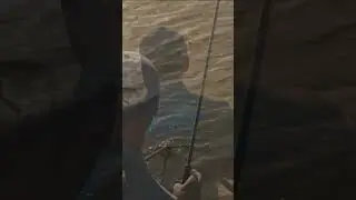 Beautiful Feeder Fishing Sequence 