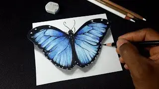 How to Draw Realistic Butterfly - Cute Drawing