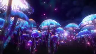 Mushroom Forest | Ambience, Sleep, Study and Focus