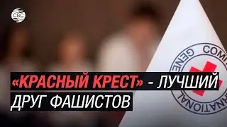 МККК и преступления против человечности