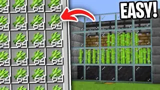 Sugarcane Farm Minecraft 1.21! [JAVA & BEDROCK]