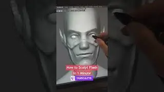 Flash ⚡️🎥✍️.