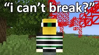 Minecraft but it's the TRUTH behind ADVENTURE MODE