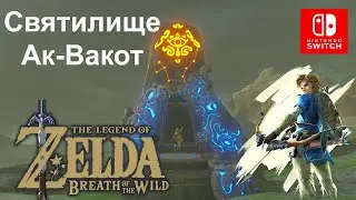 Святилище Ак-Вакот / Akh Va'quot Shrine. Ветряки / Windmills. The Legend of Zelda.