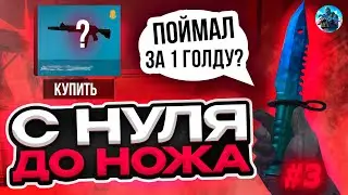 😲ТРЕЙД С НУЛЯ ДО НОЖА В RAPIRA ONLINE / НЕВЕРОЯТНАЯ УДАЧА [ВЫПУСК №3]