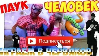 Папа ПАУК ИГРАЕТ В ИГРУ ЧЕРВЯКИ С ДАРИНОЙ - ВИДЕО ДЛЯ ДЕТЕЙ