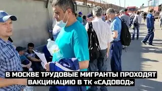 В Москве трудовые мигранты проходят вакцинацию в ТК «Садовод»
