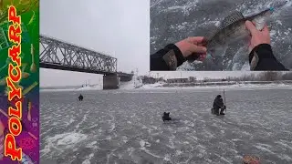 СВЕЖАК!!! ЛОВЛЯ СУДАКА НА БАЛАНСИР ЗИМОЙ НА ДНЕПРЕ